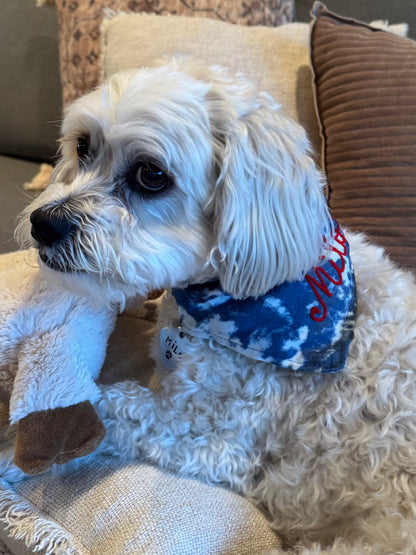 Custom Denim Embroidered Dog Bandana