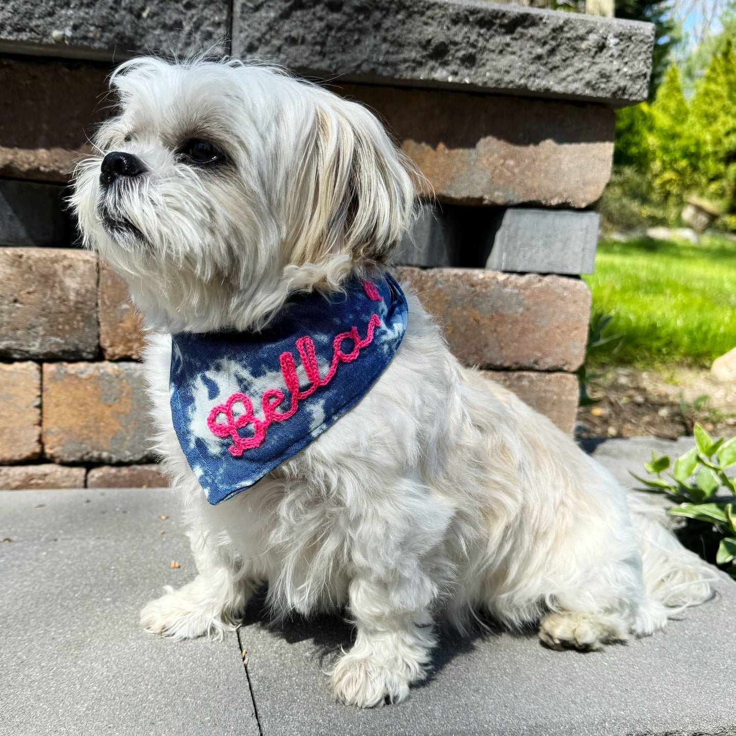Custom Denim Embroidered Dog Bandana